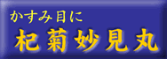 �X�e������